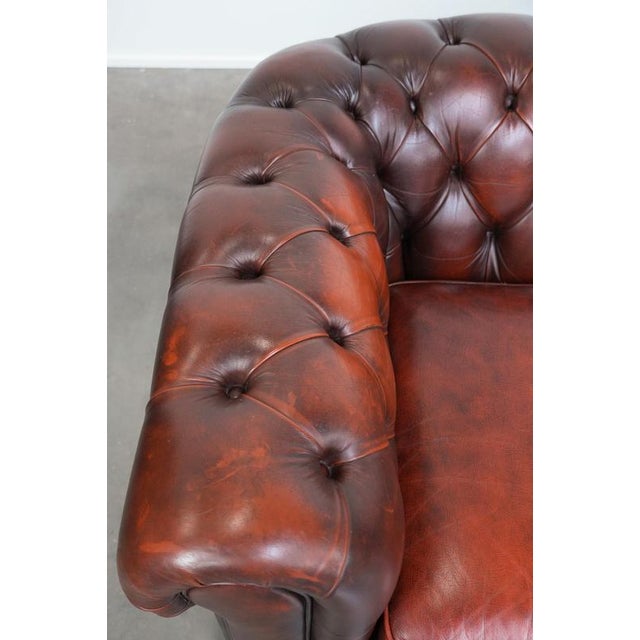 Brown Chesterfield Three-Seater Sofa in Cowhide For Sale - Image 8 of 18