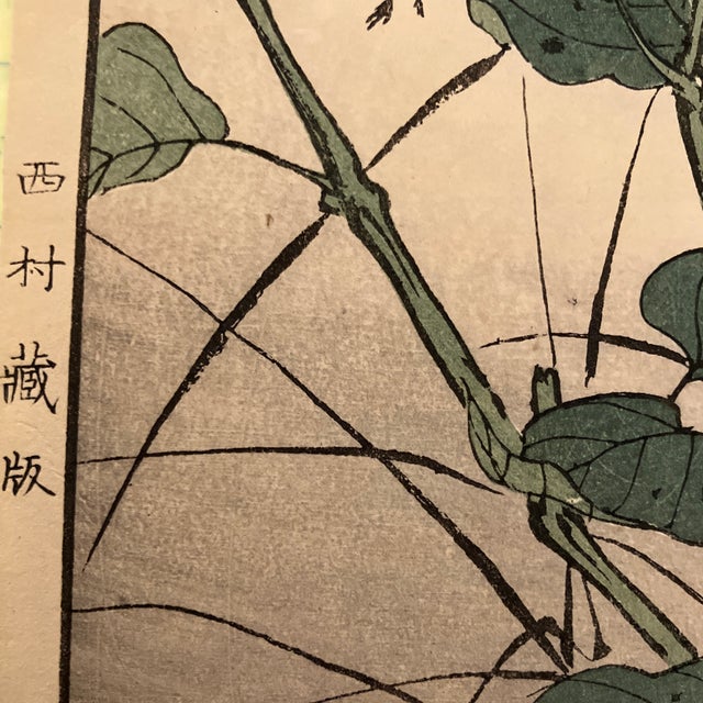 Japanese 19th Century Japanese Woodblock by Imao Keinen Goldrest Bird With Four O’Clocks For Sale - Image 3 of 4