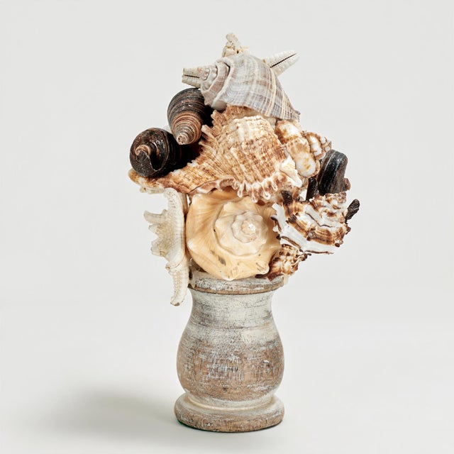 Victorian Pair of Seashell Sculptures on Wood Bases For Sale - Image 3 of 13