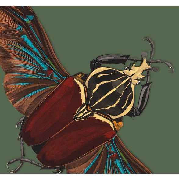 The series was produced by CFA editions from original pochior prints by E.A. Seguy. The series of insects that Seguy...