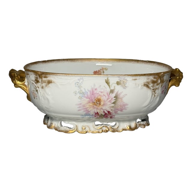 Hand-Painted Porcelain Bowl from Wessel Porzellanmanufaktur, 1900s For Sale