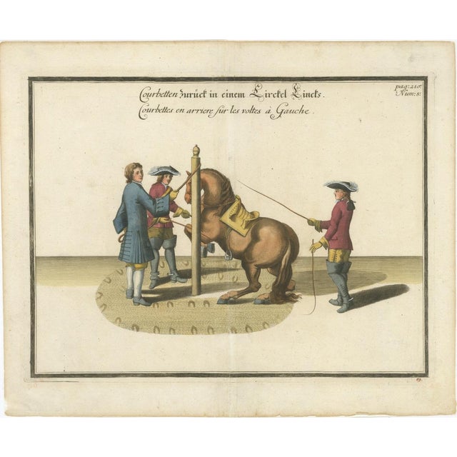 William Cavendish, Dressage Horse Training, Newcastle Riding School, 1700s, Engraving For Sale - Image 12 of 12