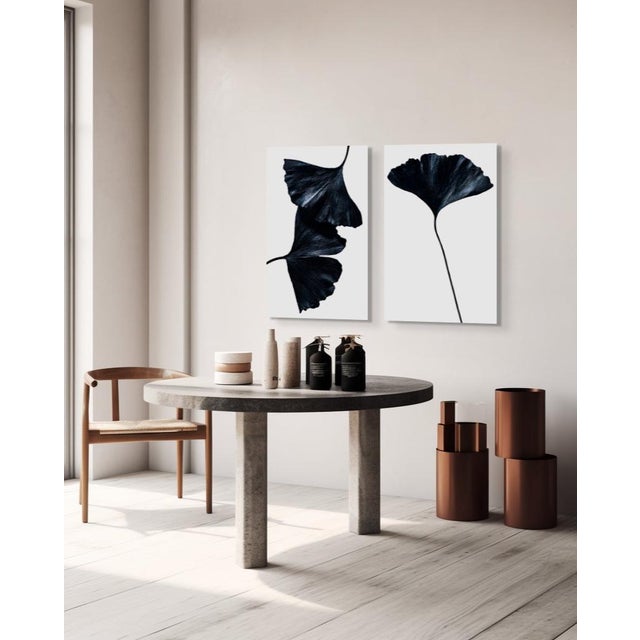 Contemporary Ginkgo Biloba II by Sivan Roshianu – Limited Edition Abstract Photograph | Framed, Ready to Hang Metal Print For Sale - Image 3 of 7