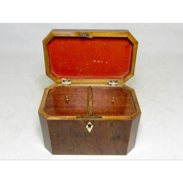 18th Century English Burr Yew Wood Tea Caddy For Sale - Image 10 of 17