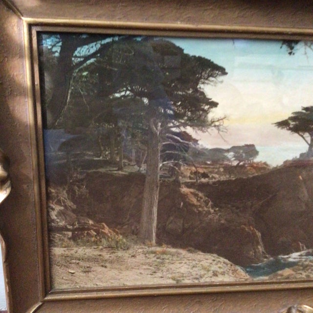 Vintage 1920s Hand Colored Photograph of the Lone Cypress in Monterey, California For Sale - Image 9 of 12