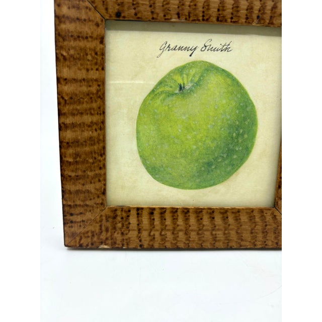 Late 20th Century Vintage Apple Art Prints Framed Birdseye Maple Faux Painted Wood - A Set For Sale - Image 5 of 10