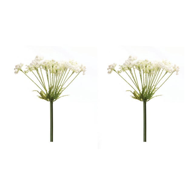 Bring nature indoors with the beautiful Queen Anne's Lace Stem Set. These lifelike, 29-inch faux stems feature vibrant...
