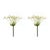 Bring nature indoors with the beautiful Queen Anne's Lace Stem Set. These lifelike, 29-inch faux stems feature vibrant...