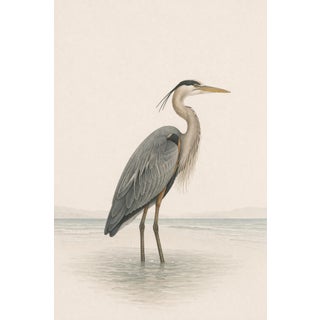 Great Blue Heron Coastal Study, Neutral Bird Wall Art Print, 24″ × 36″ Reproduction For Sale