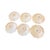 English Set of Six Antique English Coalport Indian Tree Scalloped Flat Bouillon Cups & Saucers, Circa 1891–1919 For Sale - Image 3 of 8