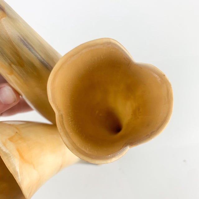 Vintage Buffed Polished Cow Ox Horns Wall Plant Hanging Pocket Western Ranch For Sale - Image 4 of 9