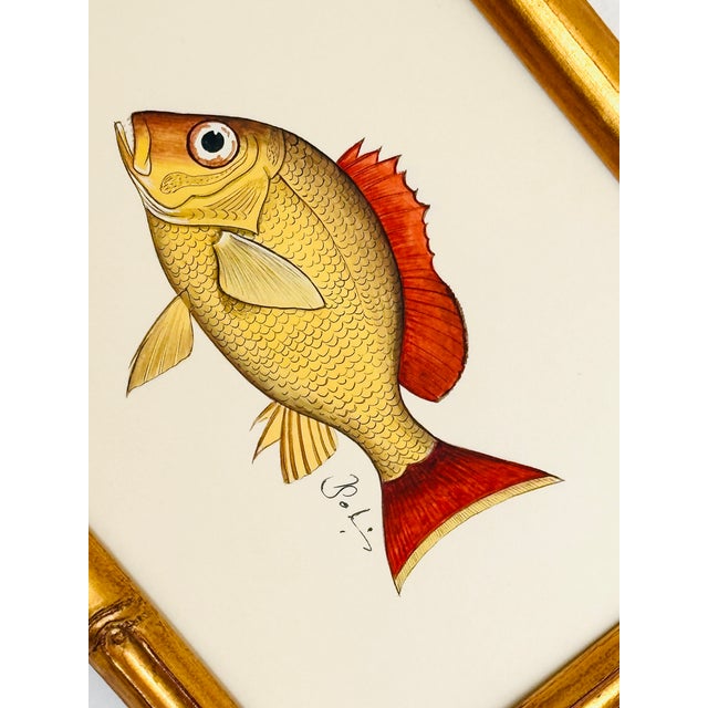 This hand-painted fish is brought to life through warm yellows tones and a striking pop of burnt orange along the fins and...