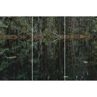 "Deep_Mirroring_Forest_006" Triptych, Limited Edition Fine Art Photograph by Bernhard Lang, Set of 3 For Sale
