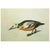 American 1966 Vintage Cottage Print "Western Duck & Limpkin" After John James Audubon For Sale - Image 3 of 7