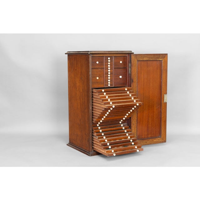 Antique Cabinet in Mahogany, 1890s For Sale - Image 5 of 12