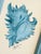 Every shade of blue in this seashell was built slowly and intentionally, layer by layer. The soft shading, delicate fine-...