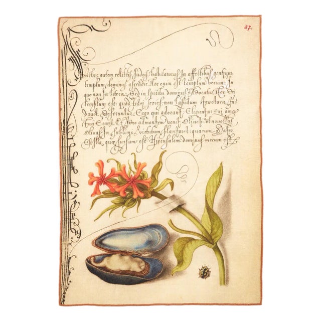 Botanical Mussel Tea Towel For Sale