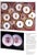 1990s The Collection of Alberto Pinto 1999 Sotheby's New York For Sale - Image 5 of 15