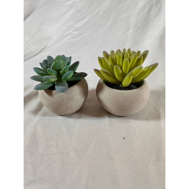 Two adorable faux Succulents in little round concrete planters. Super cute accent to any room.