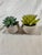Two adorable faux Succulents in little round concrete planters. Super cute accent to any room.