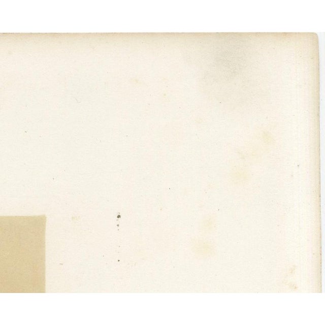 Gold Unknown, Flemish Cow, 1873, Paper For Sale - Image 8 of 12
