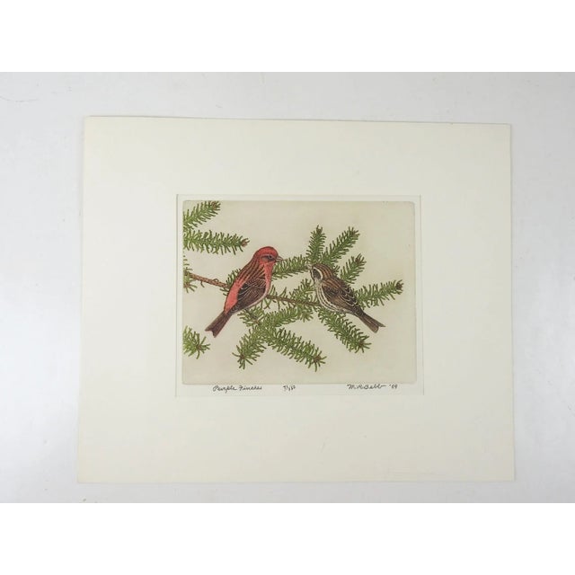 Vintage 1969 Maurice Bebb Purple Finches Aquatint Etching For Sale - Image 4 of 6