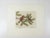 Vintage 1969 Maurice Bebb Purple Finches Aquatint Etching For Sale - Image 4 of 6
