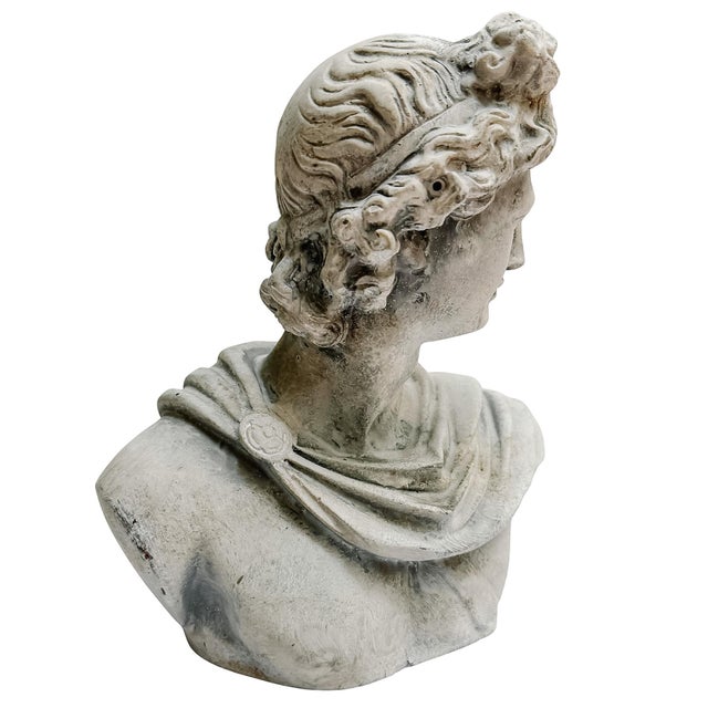 Renaissance Late 20th Century Classical Apollo of Belvedere Concrete Bust For Sale - Image 3 of 7
