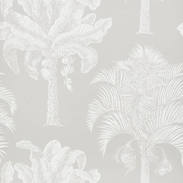 Contemporary Schumacher Grand Palms Wallpaper in Dove For Sale - Image 3 of 3