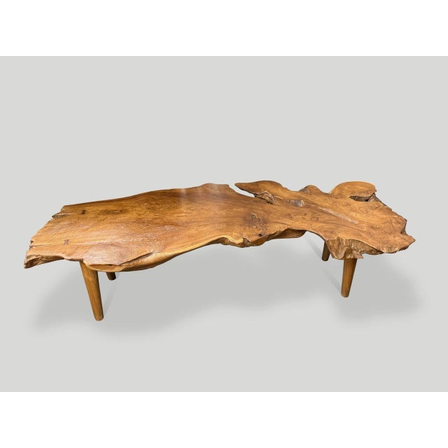 Andrianna Shamaris Sculptural Organic Teak Wood Coffee Table For Sale - Image 11 of 18