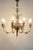 Empire Chandelier in Carved Pear, Steel & Gold Leaves, Austria, 1800s For Sale - Image 12 of 13