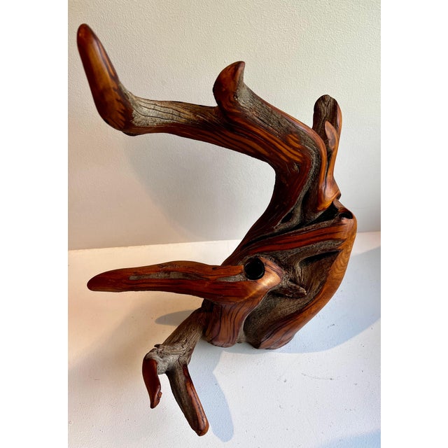 Juniper Wood Bud Vase two glass inserts / bud vases juniper tree branch with great size, color and patina ( green flowers...