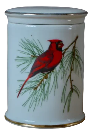 French Porcelain Bird Box from Porcelaine de Paris
