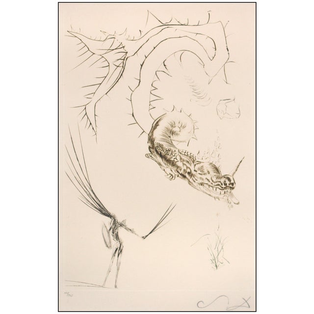 Surrealism 1970 Tristan and the Dragon Etching Salvador Dalí For Sale - Image 3 of 7