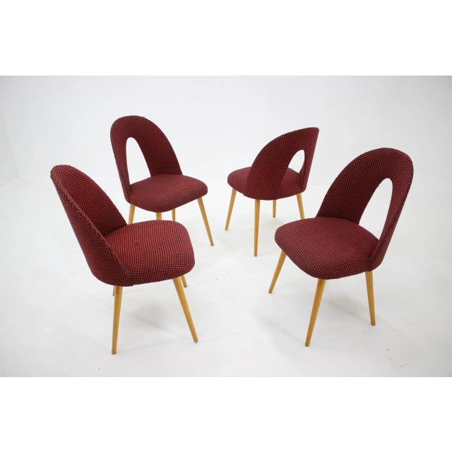 Wood Dining Chairs by Antonin Suman, Czechoslovakia, 1960s, Set of 4 For Sale - Image 7 of 8
