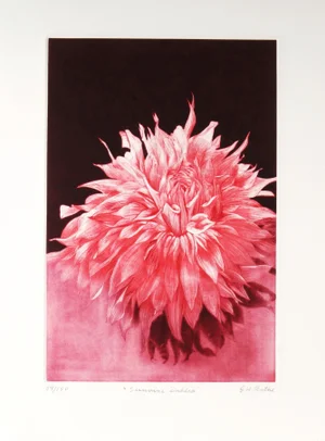Gatja Helgart Rothe, Sunrise Dahlia, Circa 1990