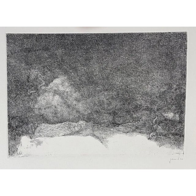 Edo Janich, Woman Figure, Original Etching, 1970s For Sale