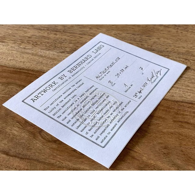 Photography "Deep_Mirroring_Forest_014" Triptych, Limited Edition Fine Art Photograph by Bernhard Lang, Set of 3 For Sale - Image 7 of 7