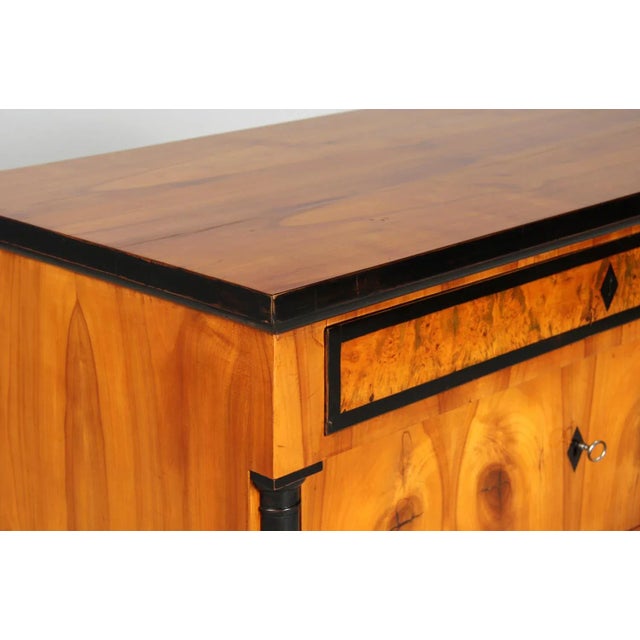 Wood Antique Biedermeier Chest, 1820s For Sale - Image 7 of 13