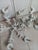 White 1990s Coastal White Ceramic Reef Chandelier 6 Light For Sale - Image 8 of 8