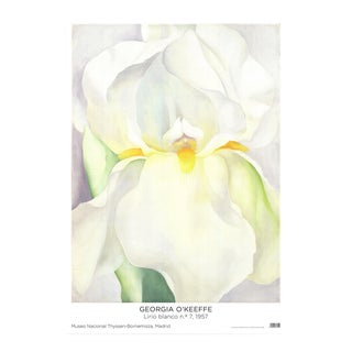 2022 Georgia O'Keeffe 'White Lily' Modernism Offset Lithograph For Sale