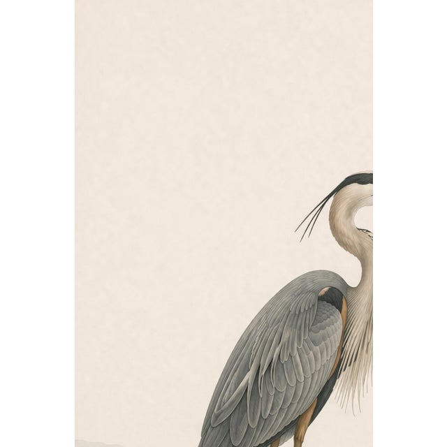 Great Blue Heron Coastal Study, Neutral Bird Wall Art Print, 24″ × 36″ Reproduction For Sale In Buffalo - Image 6 of 10