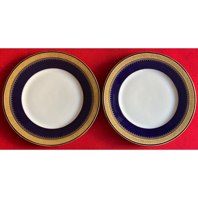 Blue German Cobalt Blue and White Porcelain Dinner Plates With Gold Rims by Hohenberg Ware Hutschenreuther Bavaria - Set of 12 For Sale - Image 8 of 14