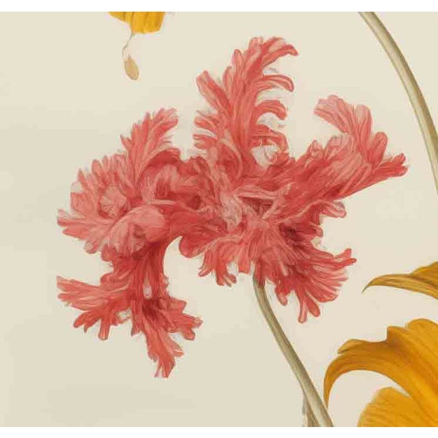 French Country Antique Botanical Garden Study - Natural History Fine Art Print For Sale - Image 3 of 6