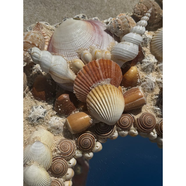 2010s Currey and Company Stunning Large Natural Seashell Framed Mirror For Sale - Image 5 of 12