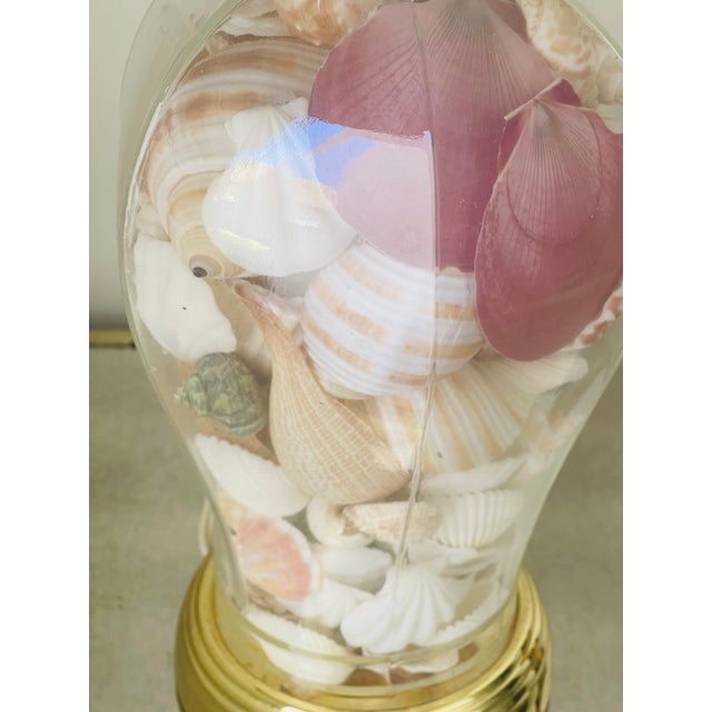 Mid-Century Modern 1950s Mid-Century Modern Lovely Sea Shell Table Lamp For Sale - Image 3 of 4