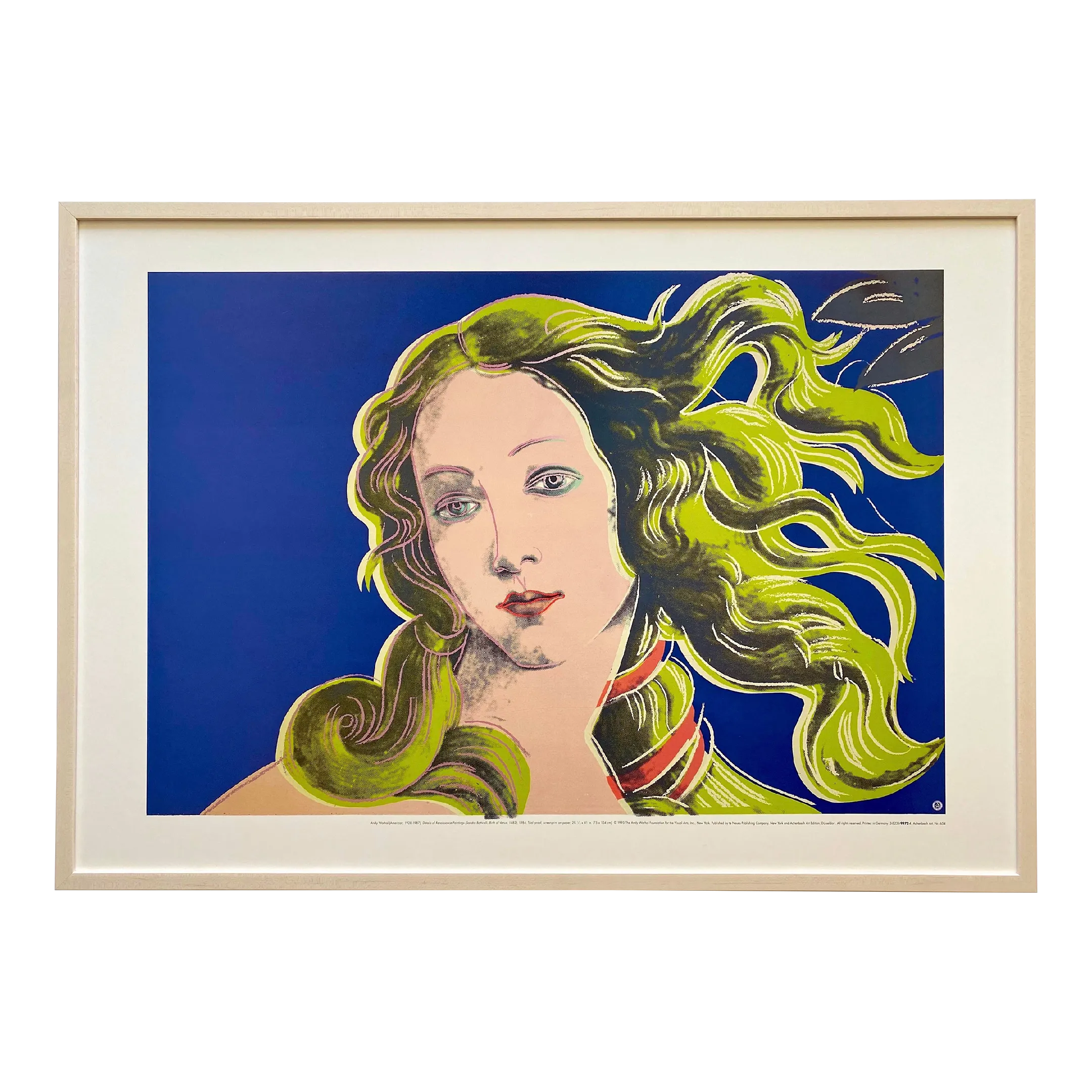 Andy Warhol Foundation Vintage 1995 Lithograph Print Framed Extra