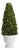 Boxwood Cone Topiary In Pot For Sale