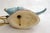 Fish Night Light in Slip-Cast Earthenware by LP Ceroc Monaco, 1950s For Sale - Image 11 of 14