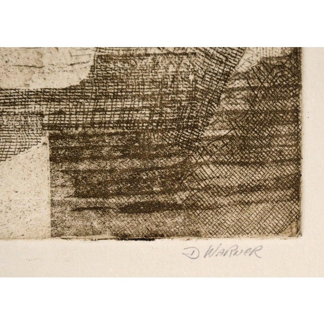 1980s "Still Life" - Etching in Ink on Paper (Artist's Proof) by Doris Warner For Sale - Image 5 of 6